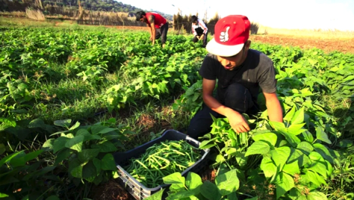 قطاع الفلاحة بالعاصمة تحت المجهر