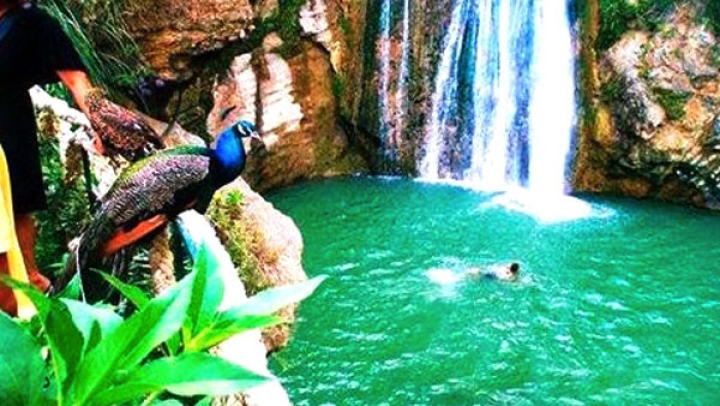 شلالات &quot;كفريدة&quot; تستعيد جمالها