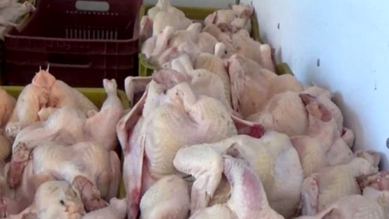 حجز 370 كلغ من اللحوم البيضاء غير صالحة