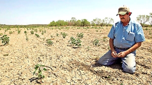 متضررون يطالبون بتقييم الخسائر لتجنيبهم الإفلاس