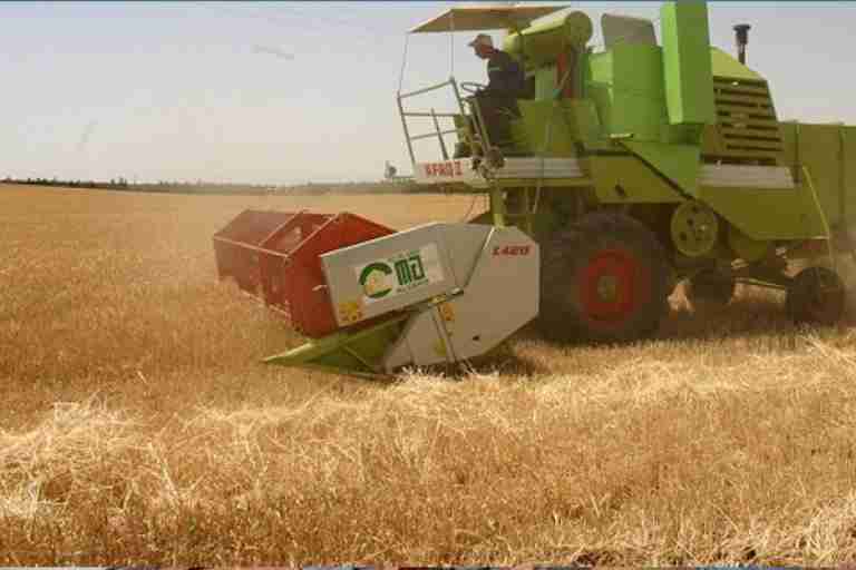 جمع مليونين و400 ألف قنطار من الحبوب