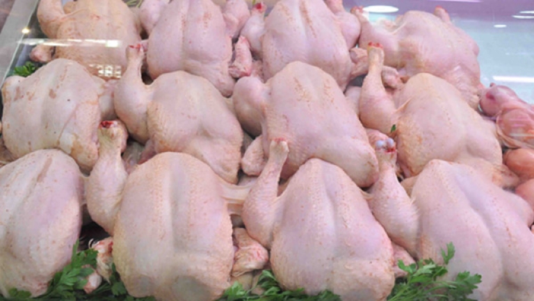 انخفاض أسعار الدجاج قريبا