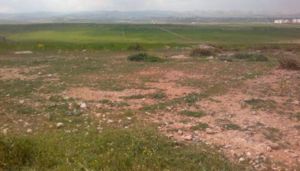 تقلص الأراضي البور في قسنطينة بـ60 ٪