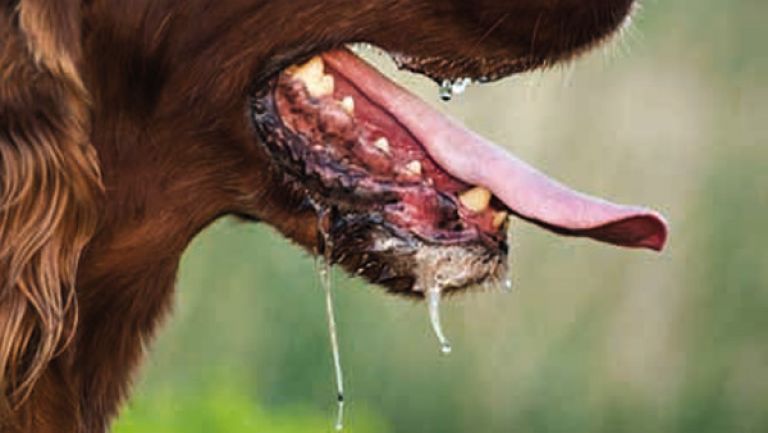 مختصون يدقّون ناقوس الخطر