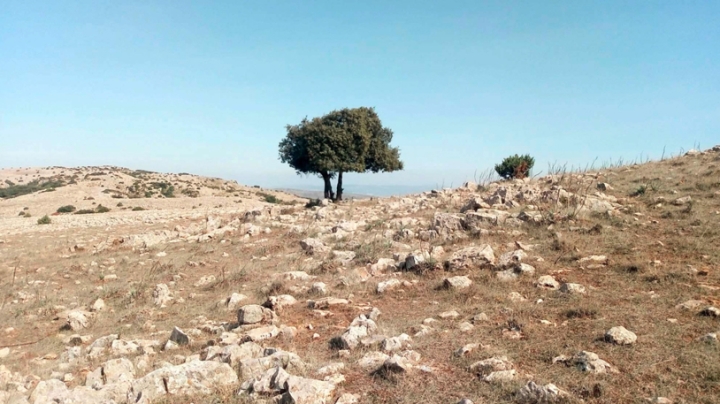 سكان ابن زياد يطالبون بالتفاتة لهذا المعلم السياحي