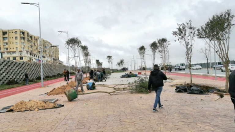 عمليات تشجير وتهيئة وحدات جوارية بعلي منجلي