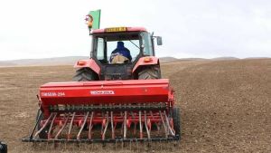 أول حملة وطنية لحصاد ودرس السلجم الزيتي