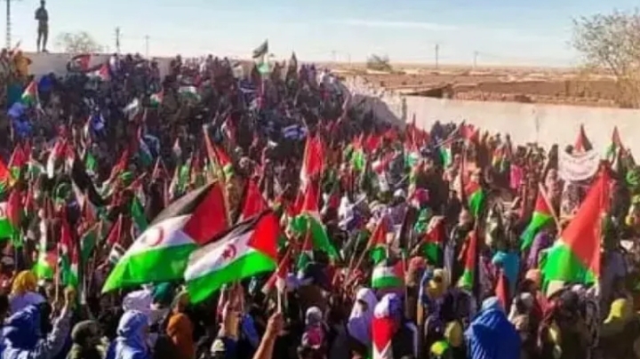 رفض صحراوي لمصادرة حقّهم في تقرير المصير
