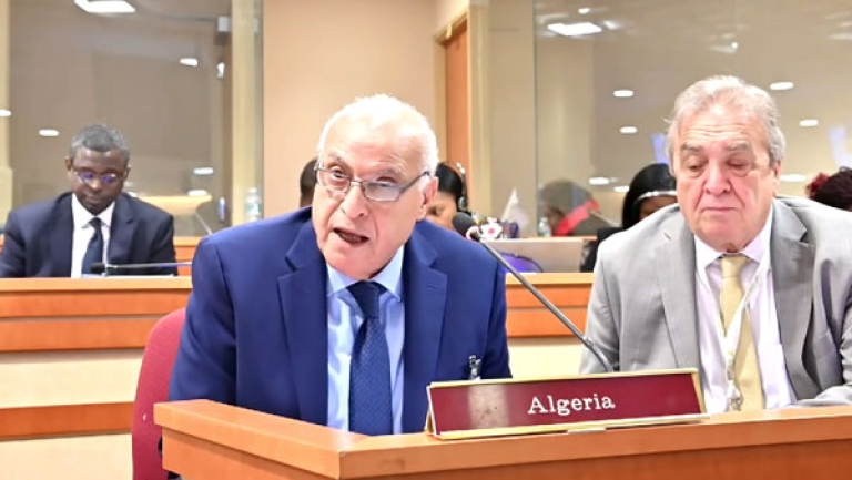 الجزائر تطالب بحق إفريقيا من موارد الأمم المتحدة
