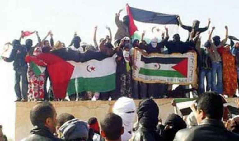 الدعوة إلى حماية السكان الصحراويين من الانتهاكات المغربية