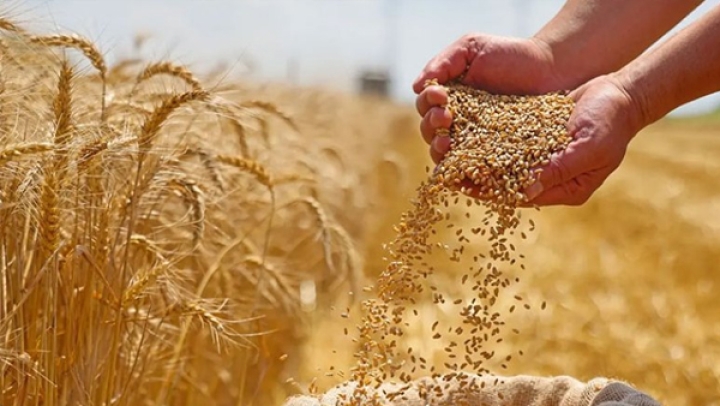 السيادة الغذائية خط أحمر ولا مكان لهواة الفلكلور