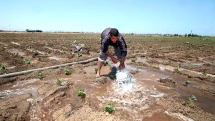 لجنة مختصة لمراقبة أحواض السقي الفلاحي العشوائية