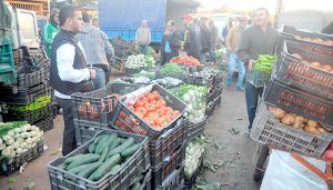 سنصدر الخضر نحو فرنسا وإسبانيا