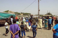إحياء وعدة سيدي غالم بطفراوي