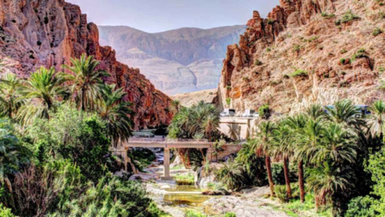 النهوض بقطاع السياحة مسؤولية الجميع