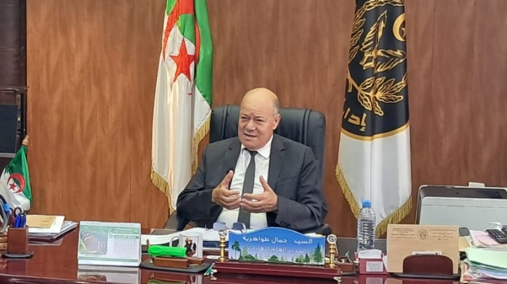 غرس 1,3 مليون شجرة خلال 24 ساعة