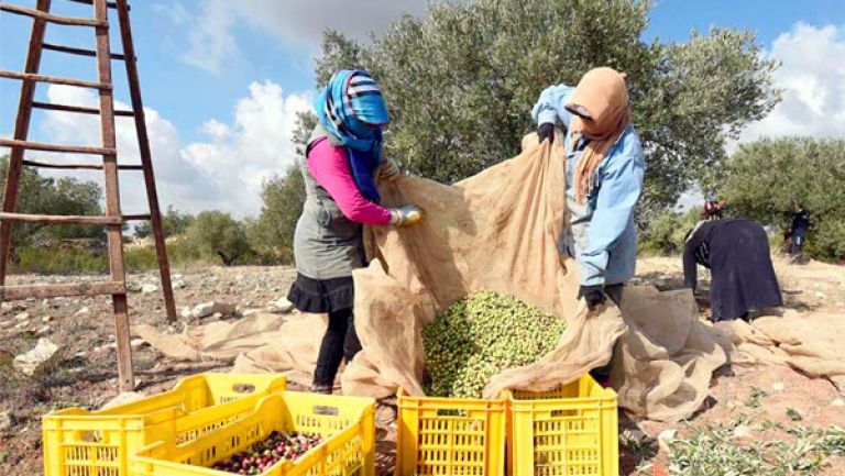 إشراك المرأة الريفية لضمان تنمية مستدامة