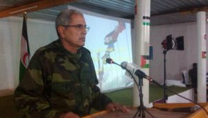وزير الدفاع يؤكد التزام الجيش الصحراوي بتنفيذ مهامه  الدستورية