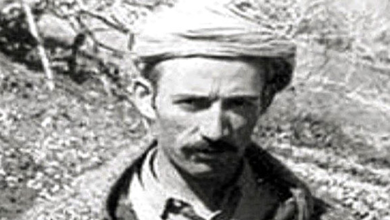 الجزائر لا تزال شامخة بفضل مقاومة شعبها وقوة مؤسساتها