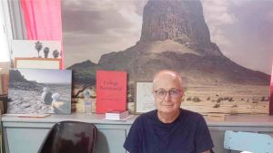 الكاتب حسين بللوفي