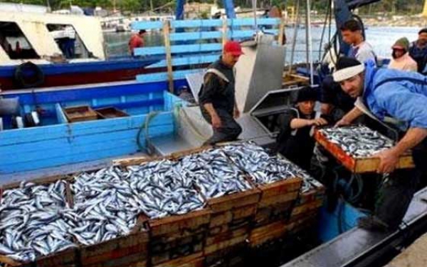 إطلاق 600 مشروع في قطاع الصيد البحري