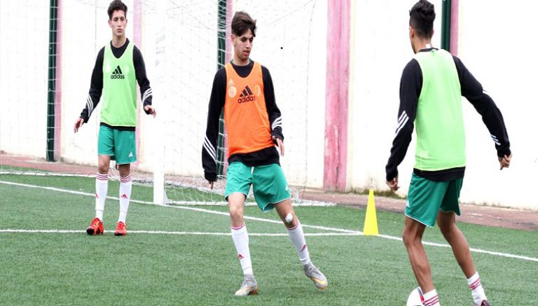 مواجهة مزدوجة للخضر أمام منتخب النيجر