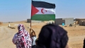 توالي الهزائم الدبلوماسية للمخزن في المحافل الدولية