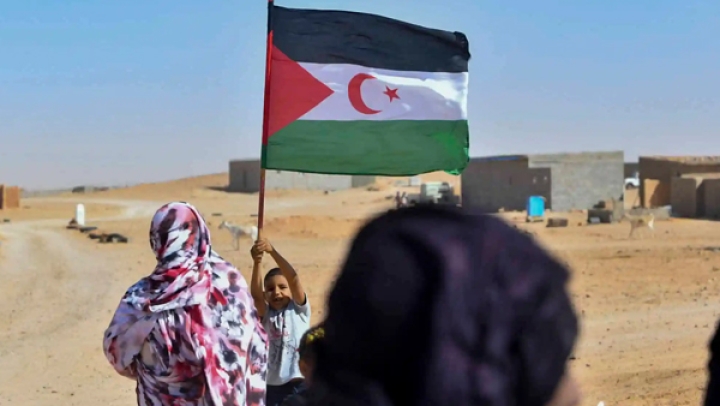 توالي الهزائم الدبلوماسية للمخزن في المحافل الدولية