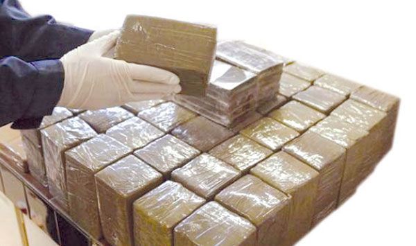 حجز 123 كلغ و500 غرام من المخدرات