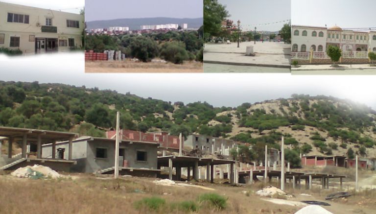 نموذج البلدية الناشئة