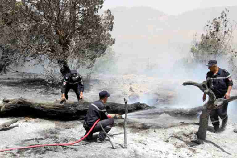 لجنة تقييم الخسائر تباشر عملها بالمدية