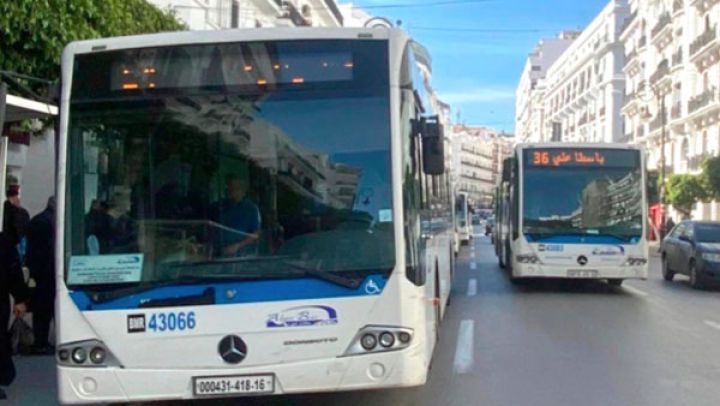 النقل مجاني على خطوط "إيتوزا" الجمعة القادم