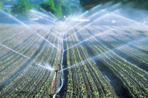 تكوين 1113 فلاح في مختلف تقنيات السقي