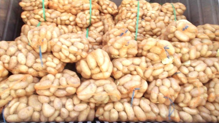 إغراق السوق بالبطاطا بداية من الأسبوع المقبل