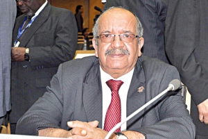 مساهل يبرز المكانة الهامة للجالية في التنمية الوطنية