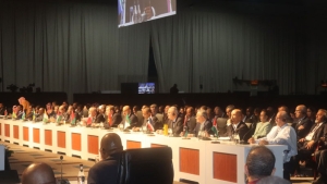 وزير المالية لعزيز فايد