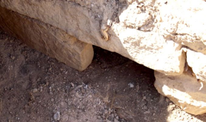 اكتشاف موقع أثري روماني بدوار مزقطو ببلدية الحامة