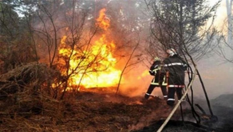 30 بؤرة حريق منذ مطلع جوان الفارط بالعاصمة