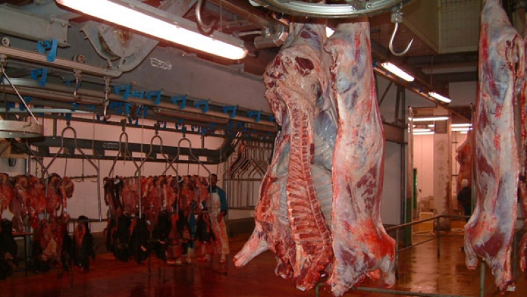 سنسوق 49 ألف طن من اللحوم الحمراء في رمضان