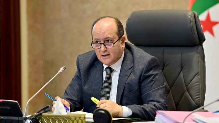 مخططات قطاعية لهيكلة التنمية وتنويع الاقتصاد الوطني