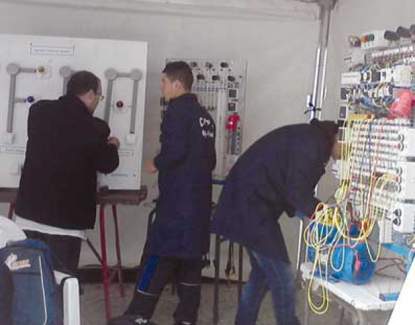 الكفاءة والإرادة عاملان لتحقيق النجاح