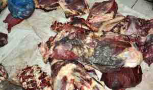 حجز 500 قنطار من اللحوم الفاسدة منذ بداية رمضان
