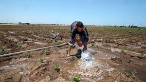 فلاحون يستنجدون والإدارة تضع قانونا خاصا لتسهيل حفر الآبار