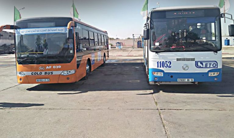 سائقو الحافلات بوهران يرفضون التكوين