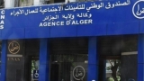فرق تفتيش ليلي للتحقّق من التصريح بالعمال الموسميين