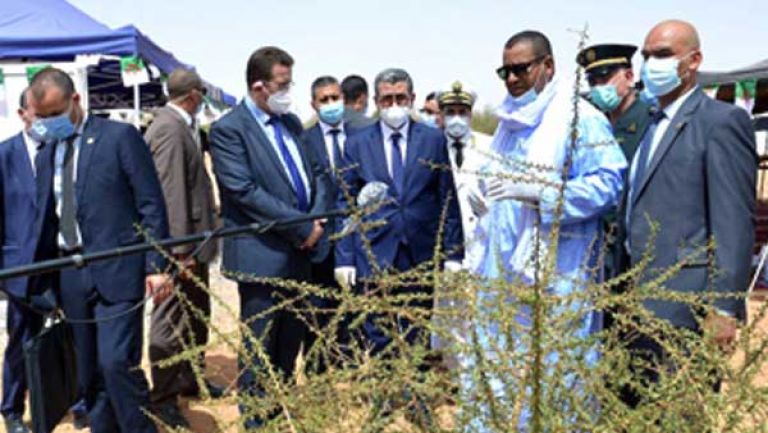 يجب تقليص فاتورة الاستيراد وتحويلات "الدوفيز"