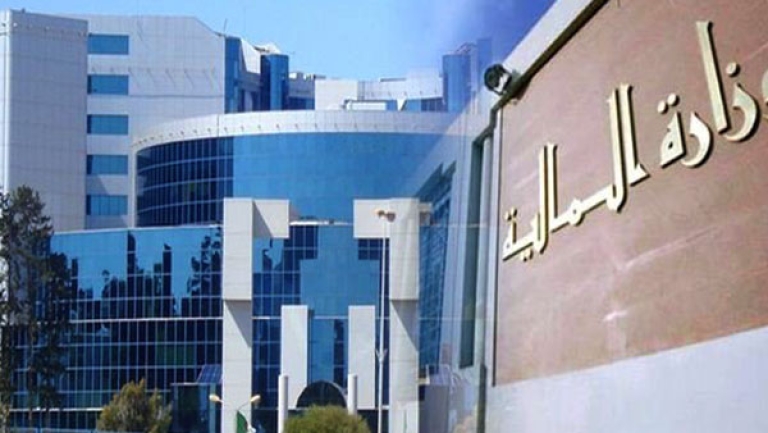 هذه سيناريوهات "ترسيم" قانوني المالية التكميلي والاستثمار