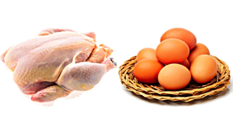 تراجع أسعار الدجاج والبيض في الأسبوع الأول من رمضان