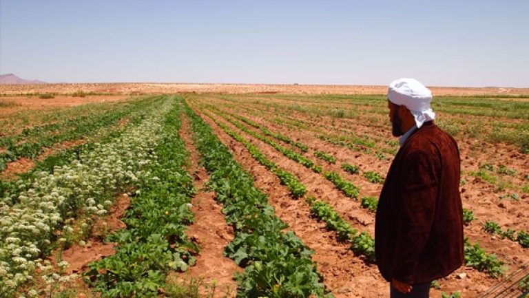 يوم إعلامي لعرض الخدمات الاجتماعية للفلاحين غير الأجراء