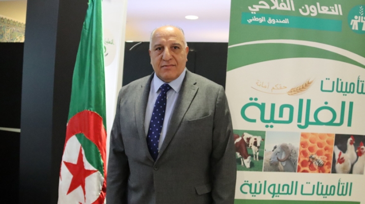 دعم منح التأمينات بدل التعويضات الاستعجالية